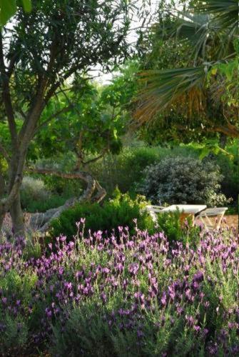 Quinta Da Lua Bed & Breakfast Tavira Eksteriør bilde